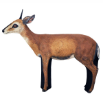 (image for) Wildcrete 3D Duiker - Antelope