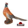 Wildcrete 3D Fasan (Bild für) Wildcrete 3D Fasan