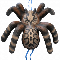 (Bild für) Leitold 3D kleine Vogelspinne