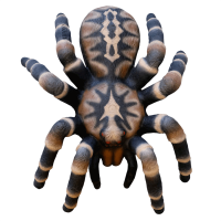 Leitold 3D Vogelspinne