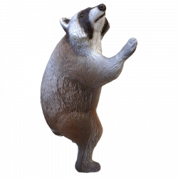 (Bild für) Leitold 3D-Ziel Waschbär kletternd