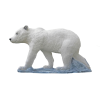 SRT Eisbärenjunges (Bild für) SRT Eisbärenjunges