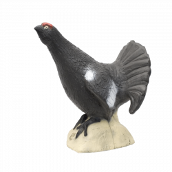 (image for) SRT Blackcock