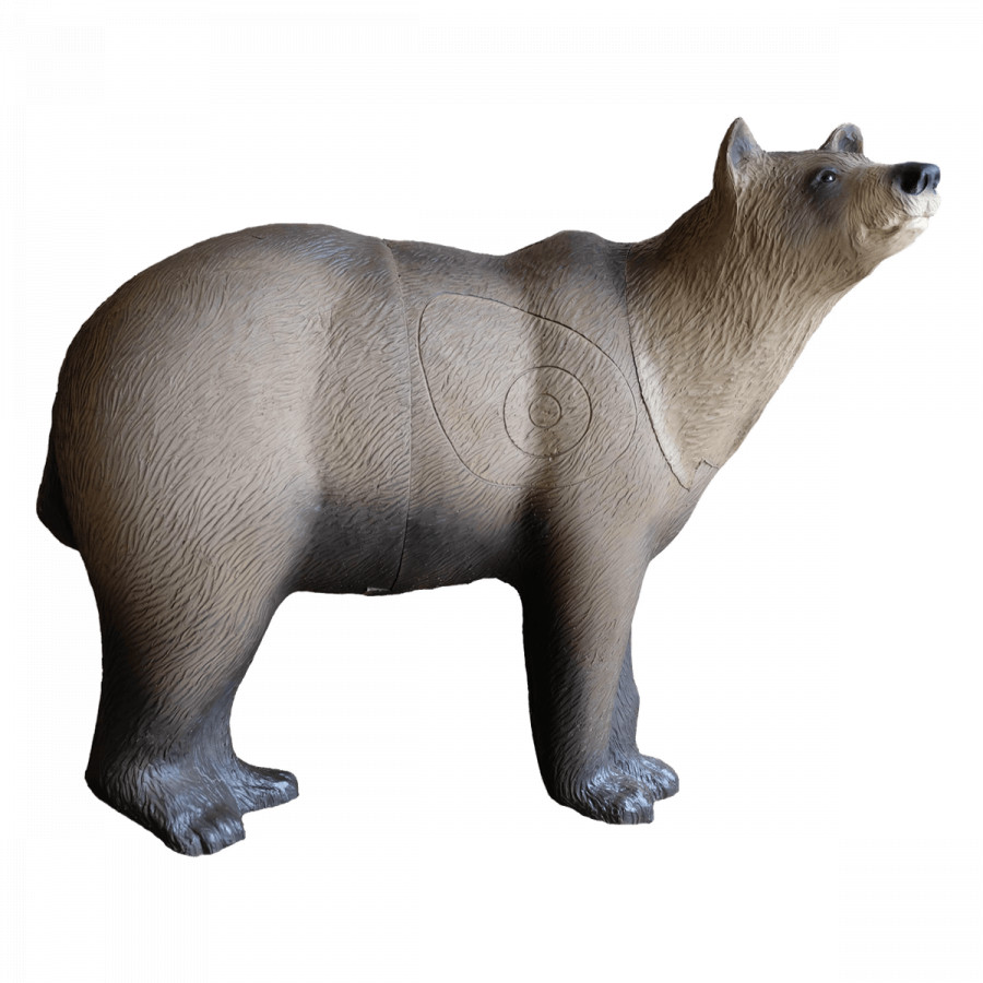 (image for) SRT Brown Bear Marsicano