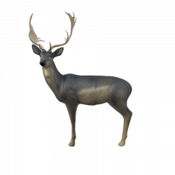 (Bild für) SRT Damhirsch Melanche