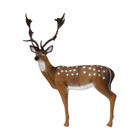 (image for) SRT Fallow Deer