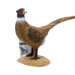 (image for) SRT Pheasant