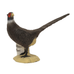 SRT Fasan (schwarz)