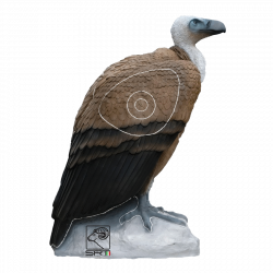 (Bild für) SRT Geier