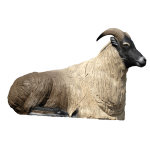 (Bild für) SRT Tahr des Himalaya (liegend)