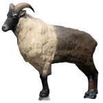 (Bild für) SRT Tahr des Himalaya