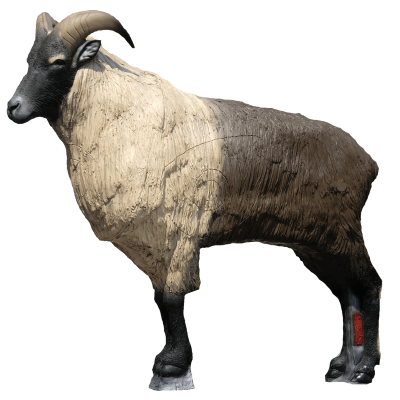 (Bild für) SRT Tahr des Himalaya