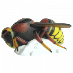 (image for) SRT Hornet