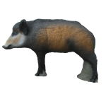 SRT junges Wildschwein
