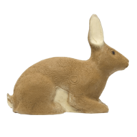 (Bild für) SRT Kaninchen