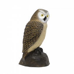 SRT Kauz (Bild für) SRT Kauz