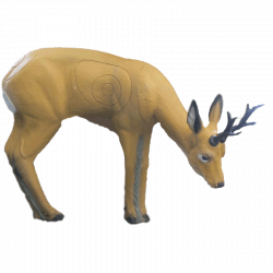 SRT Rehbock äsend (Bild für) SRT Rehbock äsend