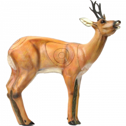 (image for) SRT Roebuck