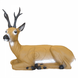 (image for) SRT Roebuck bedded