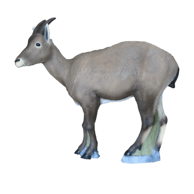 (Bild für) SRT Rocky Mountain Sheep (weiblich)