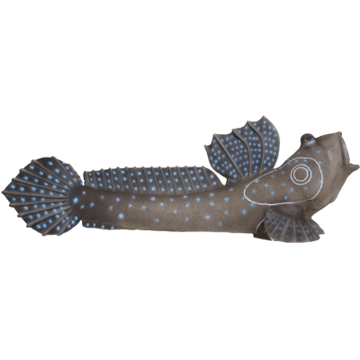 (image for) SRT Mud Skipper