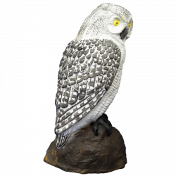 SRT Schneekauz (Bild für) SRT Schneekauz