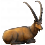 SRT Steinbock liegend