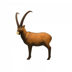 (image for) SRT Ibex