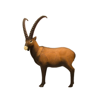 A generic image