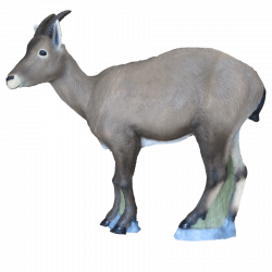 (Bild für) SRT Steingeiss