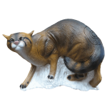 SRT Wildkatze laufend