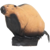 (Bild für) Wild Life Biber
