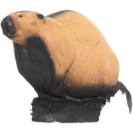 (image for) Wild Life Beaver