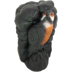 (image for) Wild Life Falcon