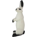 (image for) Wild Life Hare