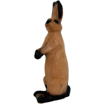 (image for) Wild Life Hare