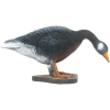 (Bild für) Wild Life Kanadische Gans (trinkend)