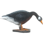 (image for) Wild Life Canadian Goose (drinking)