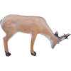 (Bild für) Wild Life Reh (trinkend)