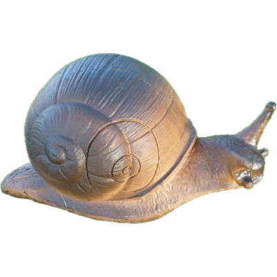 (image for) Wild Life Snail