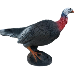 (image for) Wild Life Turkey (alerted)