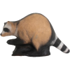 Wild Life Raccoon (image for) Wild Life Raccoon