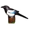 (image for) Natur Foam Magpie