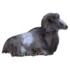 (image for) Natur Foam Mouflon (bedded)