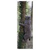 (Bild für) Natur Foam Luchs (kletternd)
