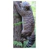 (image for) Natur Foam Wild Cat (climbing)