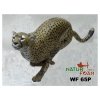 (Bild für) Natur Foam Gepard (leufend)