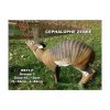 Natur Foam Cephalophus Zebra (image for) Natur Foam Cephalophus Zebra