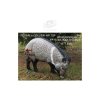 (image for) Natur Foam Peccary