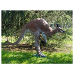 (image for) Natur Foam Kangaroo